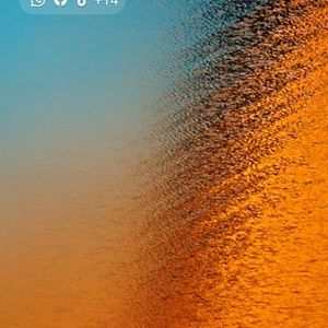 Meet your Posher, Marie